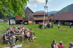 6-20250430_184656.jpg-1000-pix